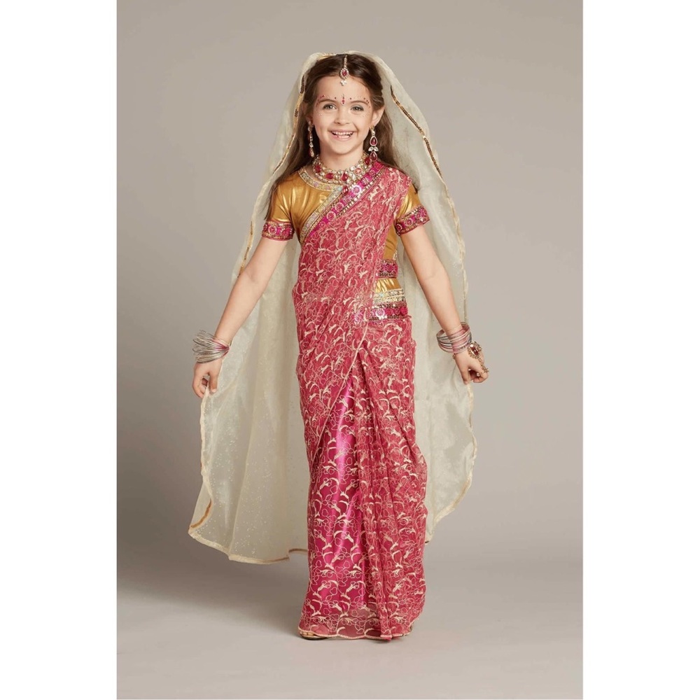 Chasing Fireflies Indian Maharani Costume 12